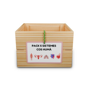 Pack 5 capses d'aprenentatge: sistemes cos humà