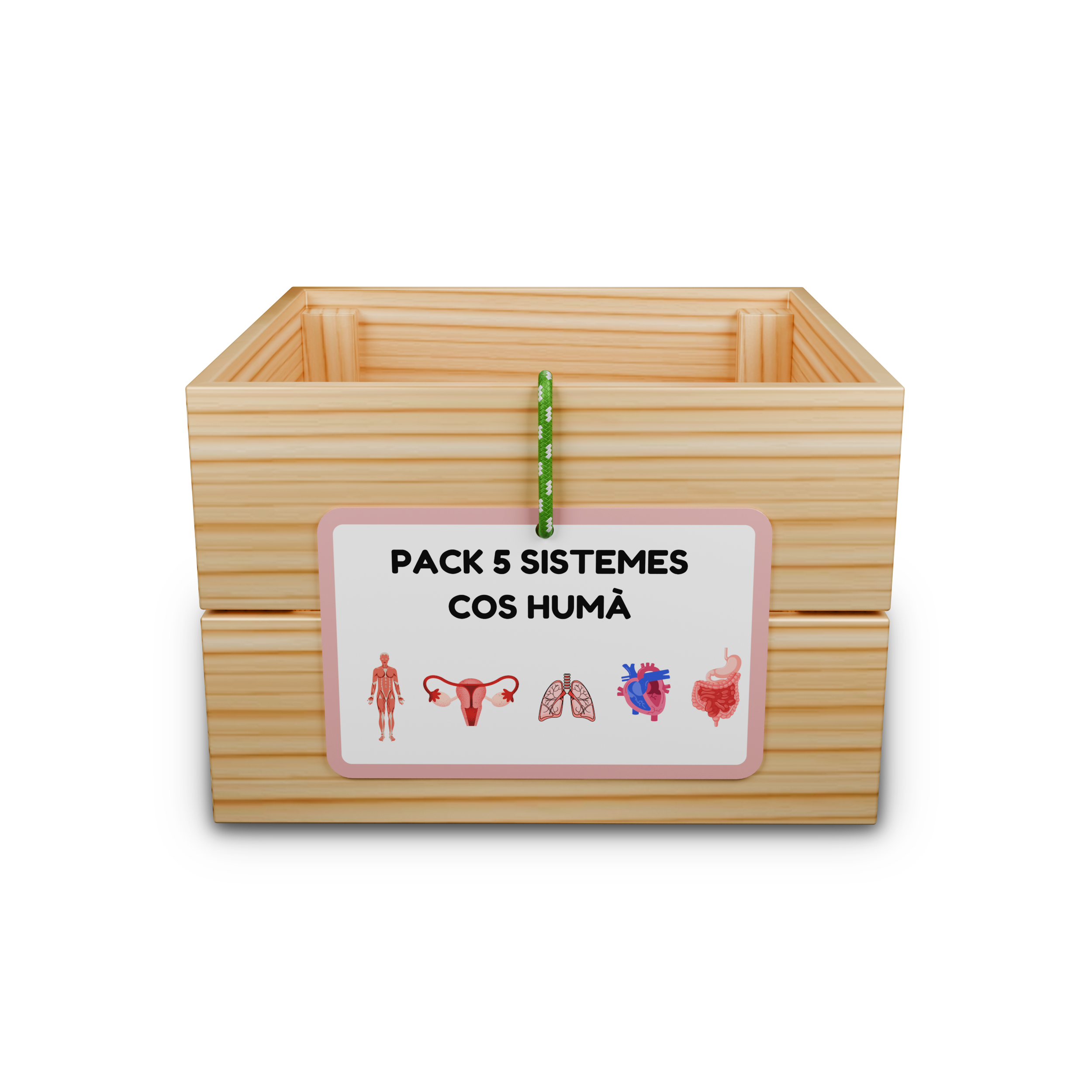 Pack 5 capses d'aprenentatge: sistemes cos humà