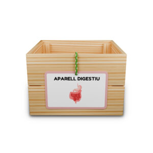 Capsa d'aprenentatge: aparell digestiu