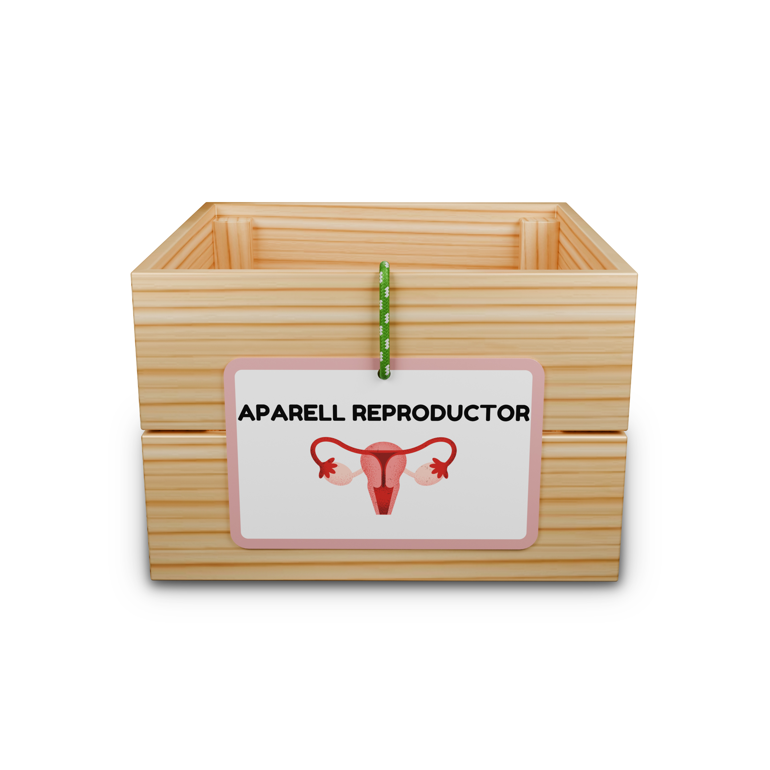 Capsa d’aprenentatge: aparell reproductor