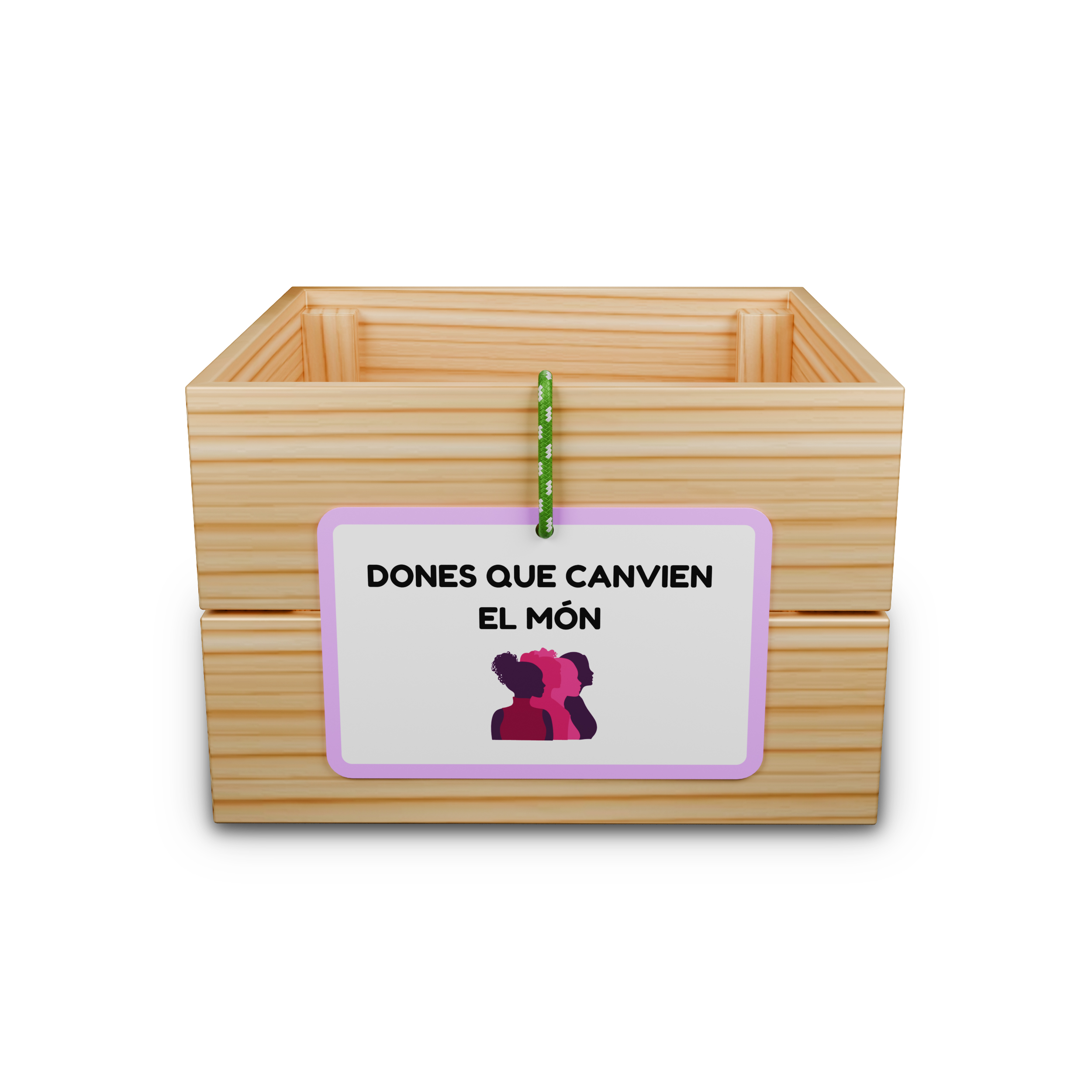 Capsa d’aprenentatge: dones que canvien el món
