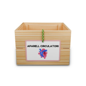 Capsa d'aprenentatge: l'aparell circulatori