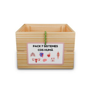 Pack 7 capses d'aprenentatge: sistemes cos humà
