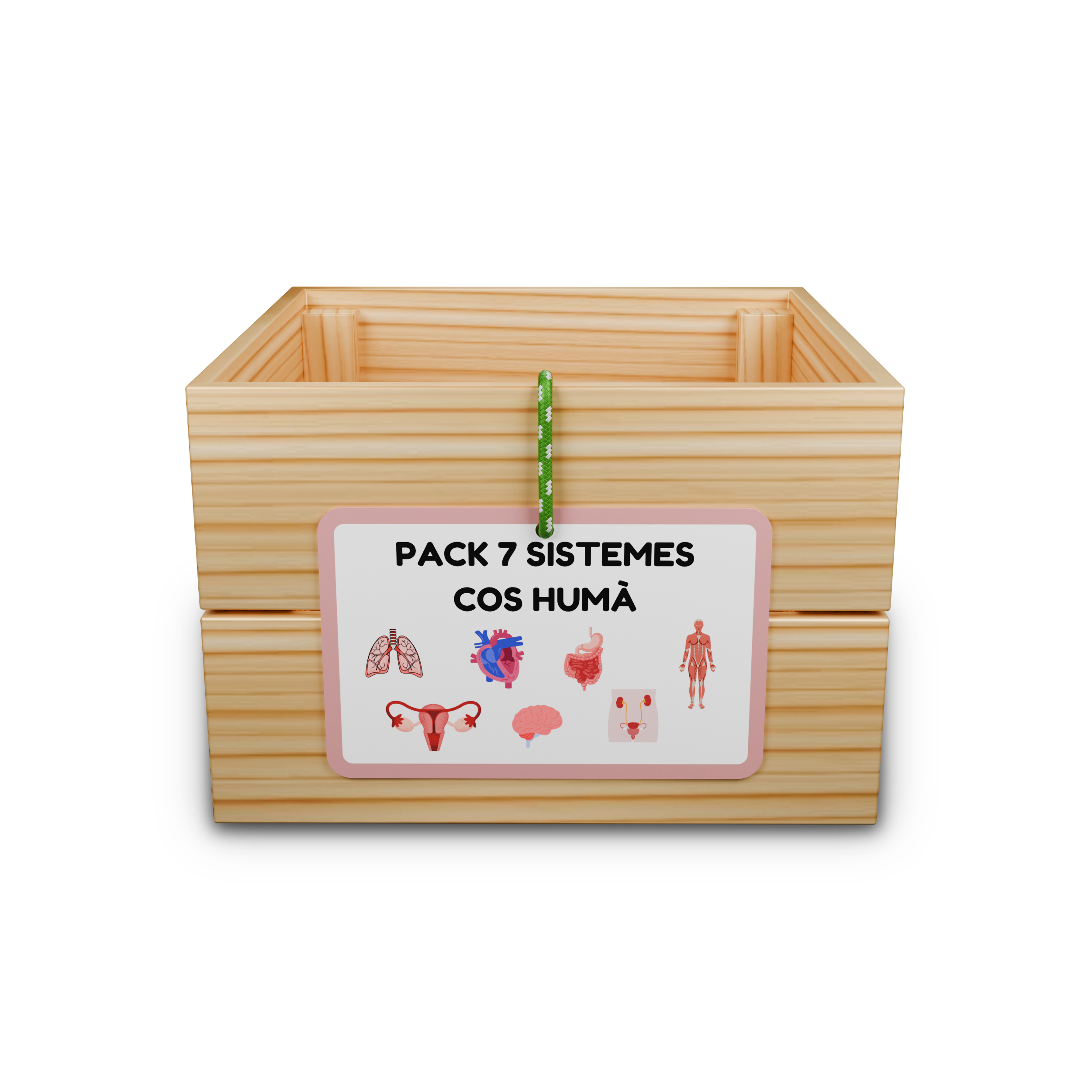 Pack 7 capses d'aprenentatge: sistemes cos humà