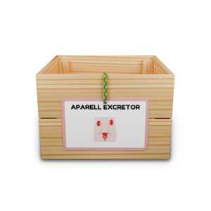 Capsa d’aprenentatge: aparell excretor