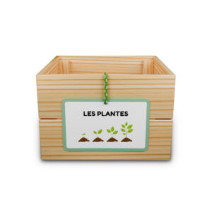 Capsa d’aprenentatge: les plantes