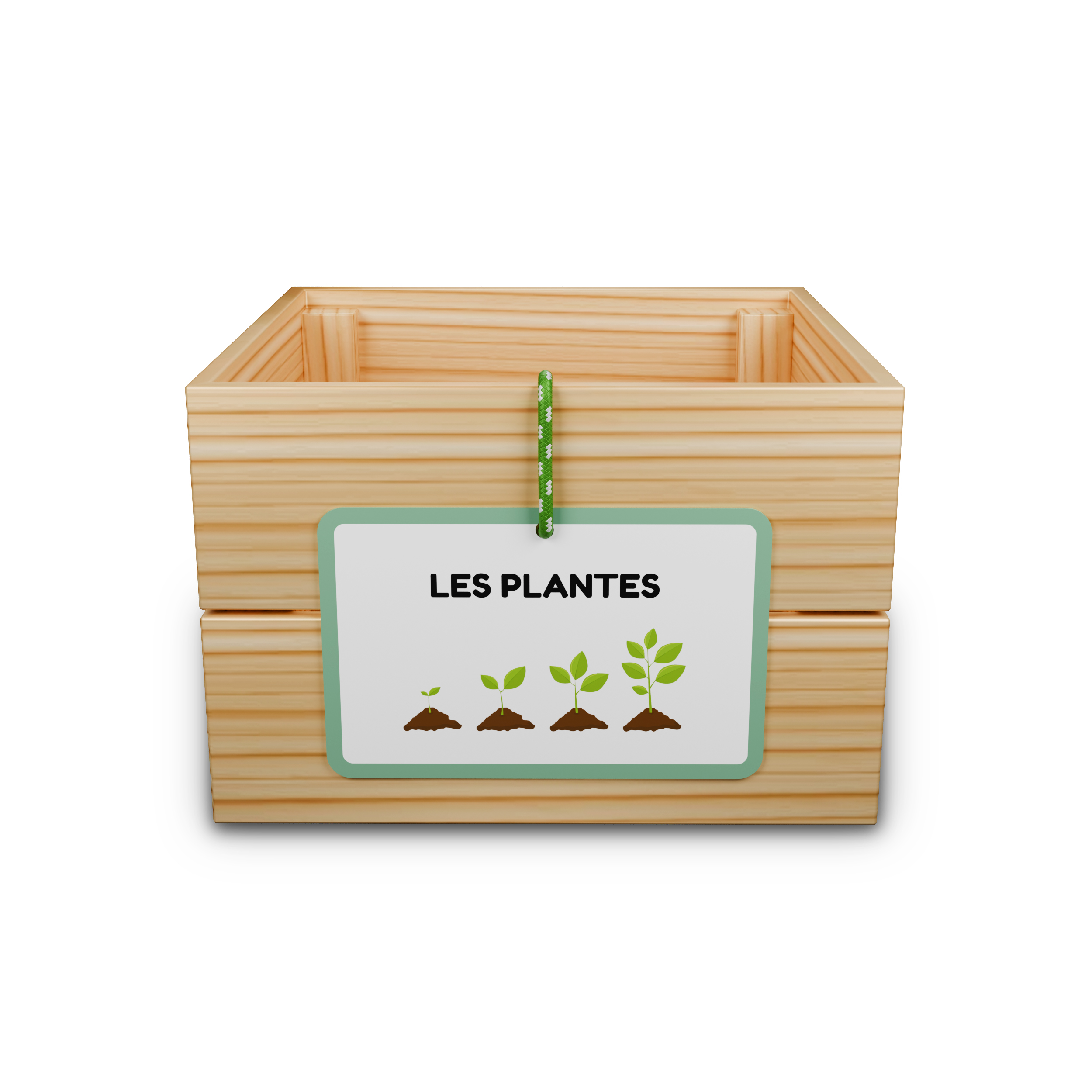 Capsa d’aprenentatge: les plantes