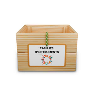 Capsa d'aprenentatge: famílies d'instruments