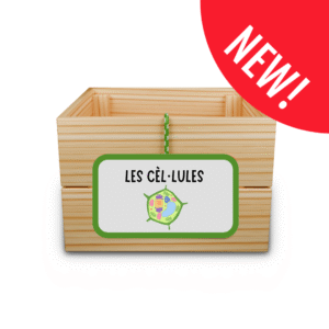 Capsa d'aprenentatge: les cèl·lules